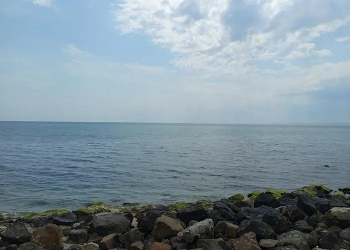 ваканционен * 阿赫洛伊